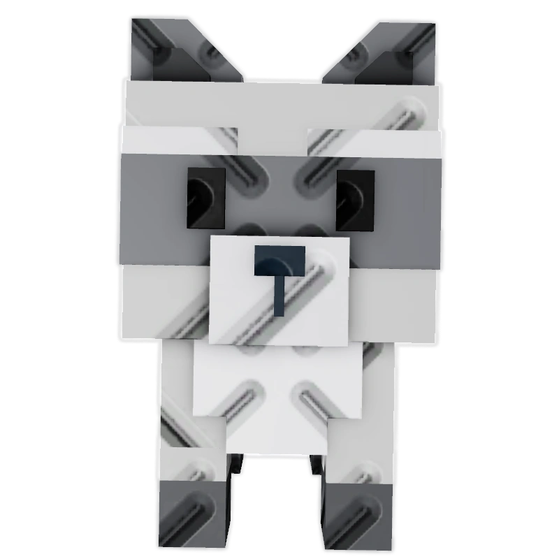 Raccoon